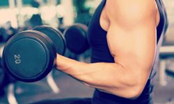 Maximising your Muscle Growth